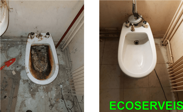 Limpieza síndrome diógenes en Capellades